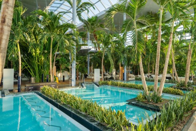 Excursión privada a Therme Bucuresti - Entrada y traslado incluidos