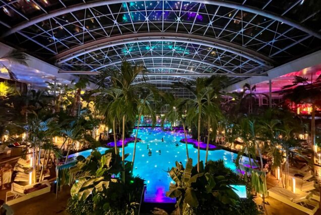 Termas de Bucarest - Entrada y traslado en minivan