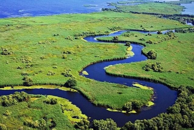 Excursión privada de 1 día al Delta del Danubio, el paraíso natural de Rumanía, en monovolumen para 8 personas
